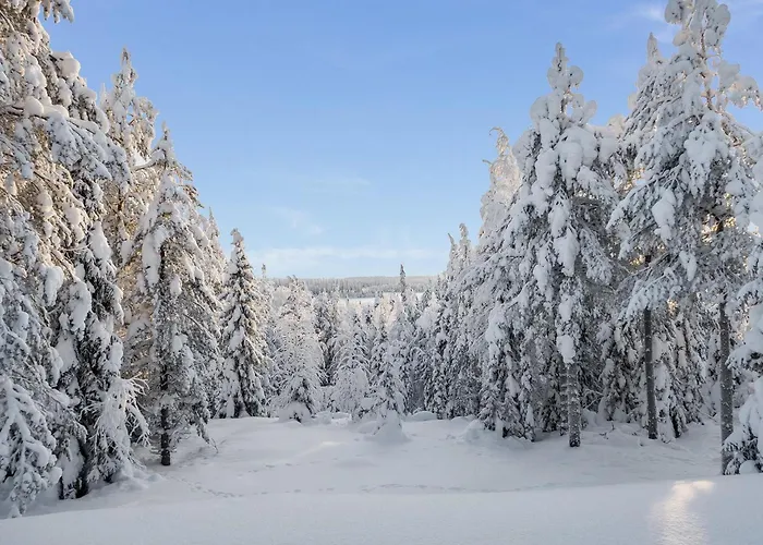 Kelovalta 7b By Interhome Ruka