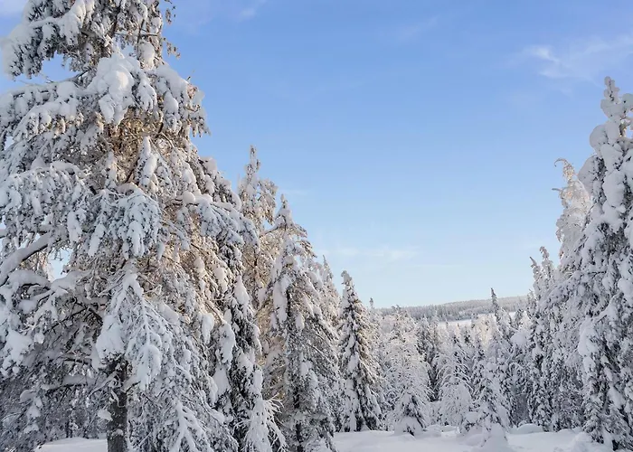 Kelovalta 7b By Interhome * Ruka