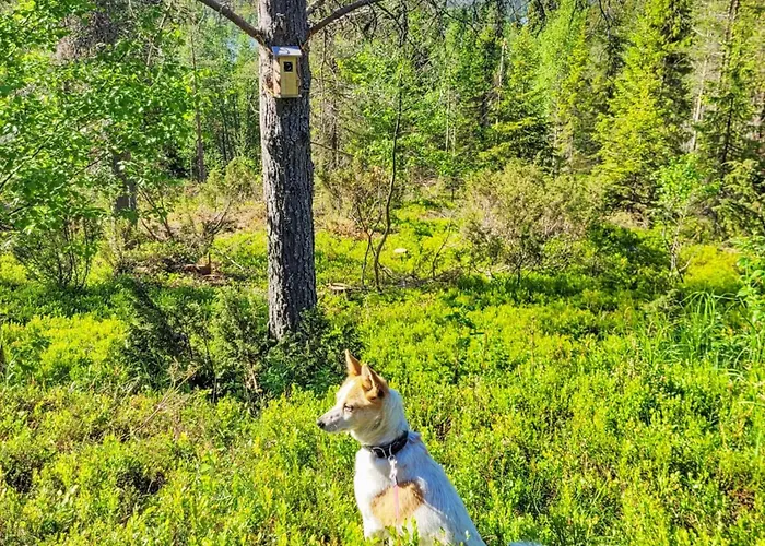 Semesterbostad Kelovalta 7b By Interhome *